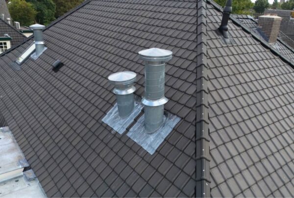 dakdoorvoer pannendak